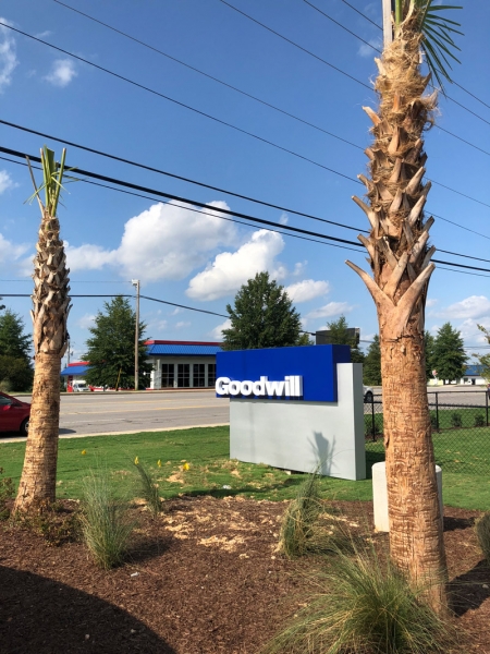 Goodwill-Ribbon-19